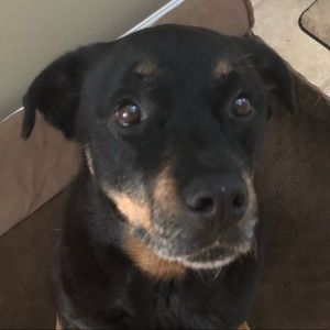 Meet your Posher, Jasmine